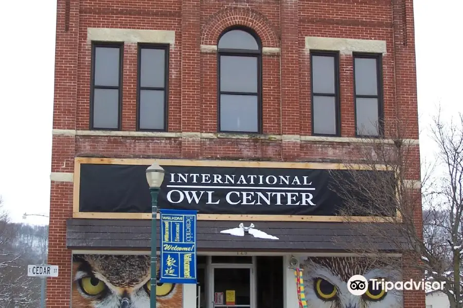 International Owl Center