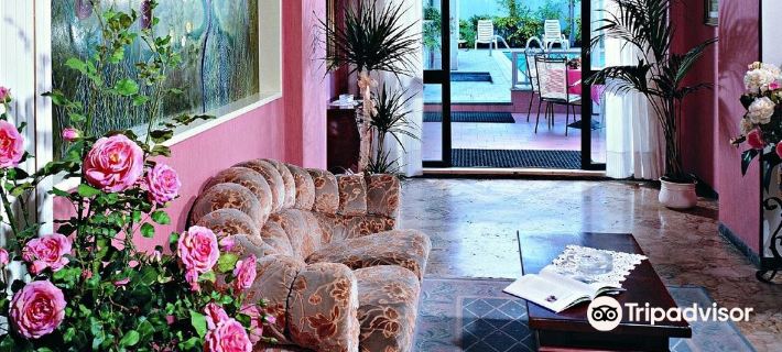 โฮเทล อาเดรียติกา โรงแรมในริชโชเน