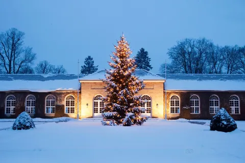 Gräflicher Park Health & Balance Resort
