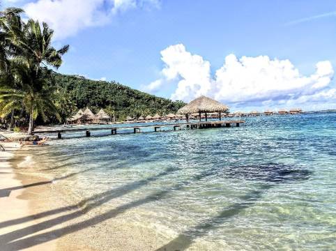 Hotel Royal Bora Bora Bora Bora Updated 22 Room Price Reviews Deals Trip Com