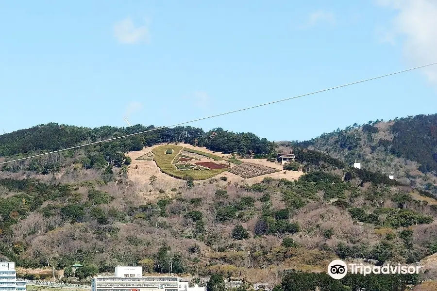 花の咲く丘公園