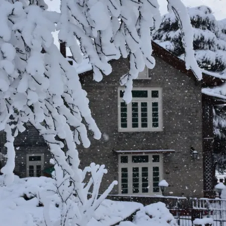 Deodar Manor