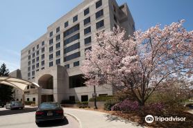The Statler Hotel at Cornell University