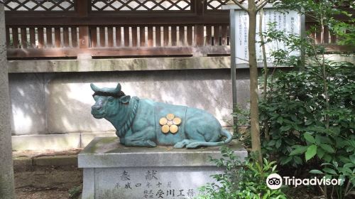 Mishima Shrine