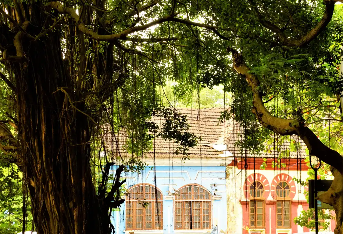 Hotels near Campal