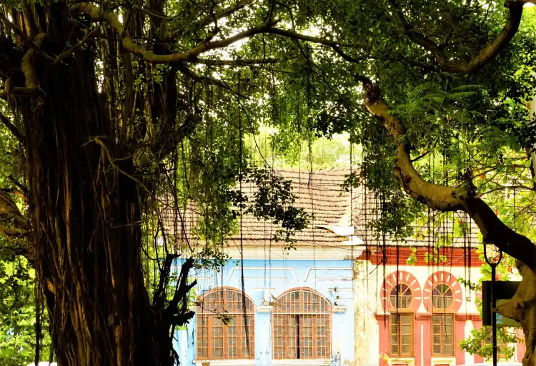 Hotels near Campal