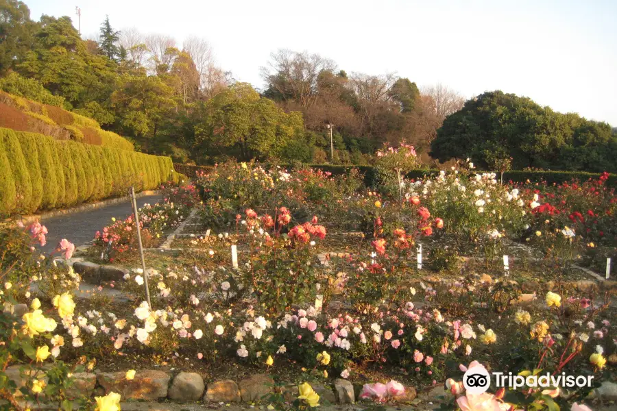 Fukuyama Gardening Center