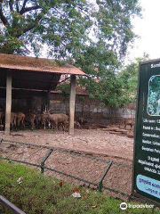 トリチュール動物園・博物館