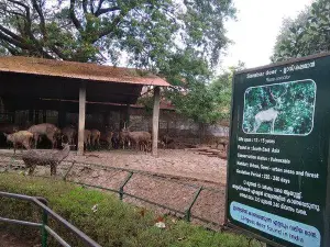 Kerala State Museum and Zoo Thrissur