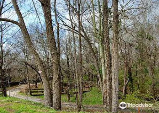 Museum of Slavery and Civil Rights