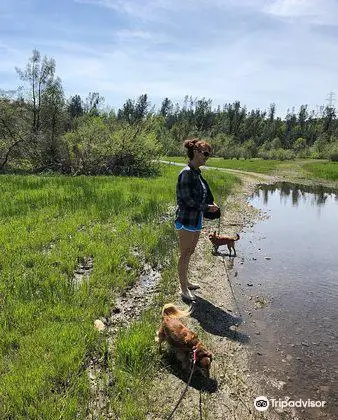 Clear Creek