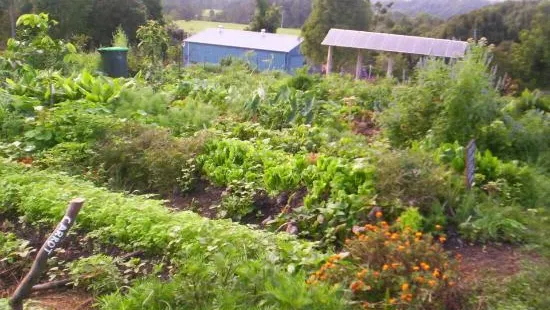 Northbank Community Gardens