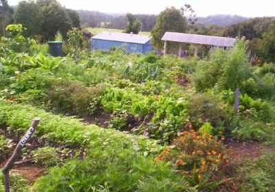 Northbank Community Garden