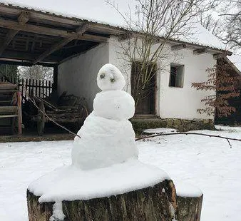 Banat Village Museum