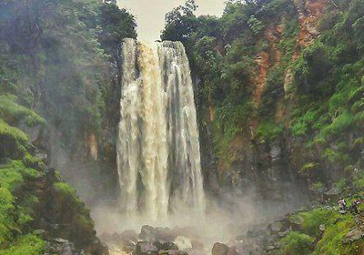 Thomson Falls