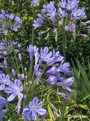 Le Jardin De La Mothe