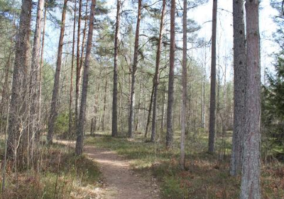 Hulingsryds naturreservat