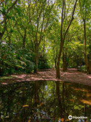 Jardim da Fundação Calouste Gulbenkian