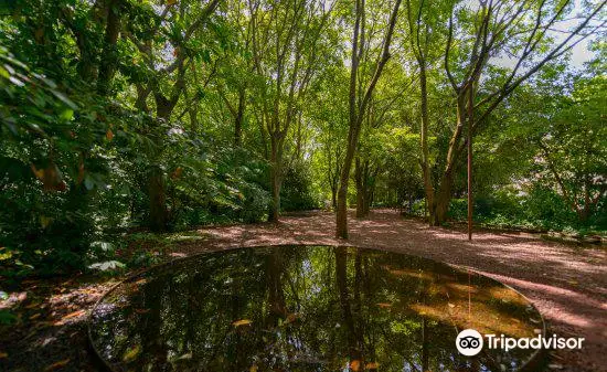 Parque de la Fundación Calouste Gulbenkian