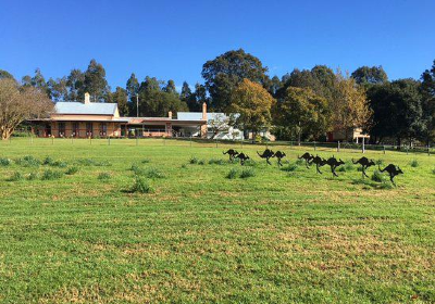 Wyong