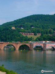 Neckarwiese Heidelberg