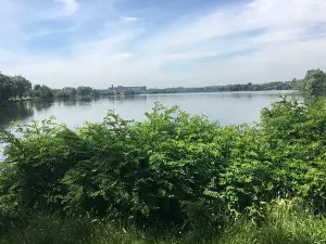 Etang du Vignoble