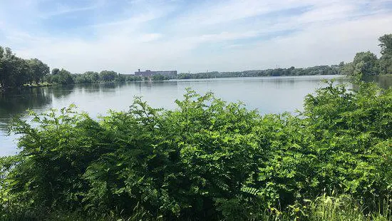 Etang du Vignoble