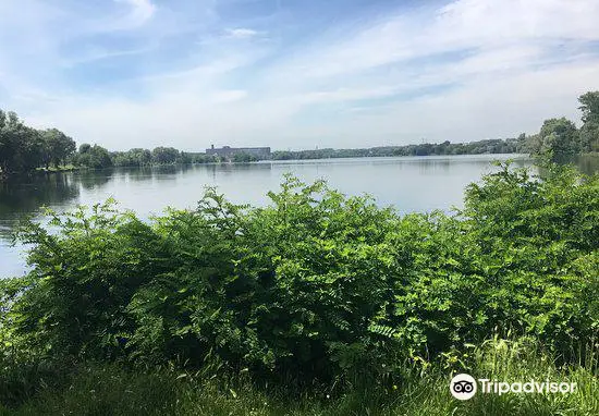 Etang du Vignoble