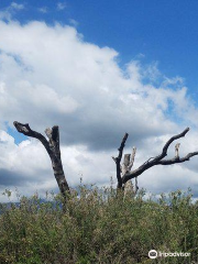 Lake Casitas Recreation Area