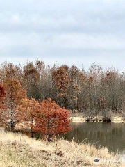 Barkhausen Cache River Wetlands Center