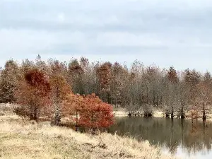 Henry N Barkhausen Cache River Wetlands Center