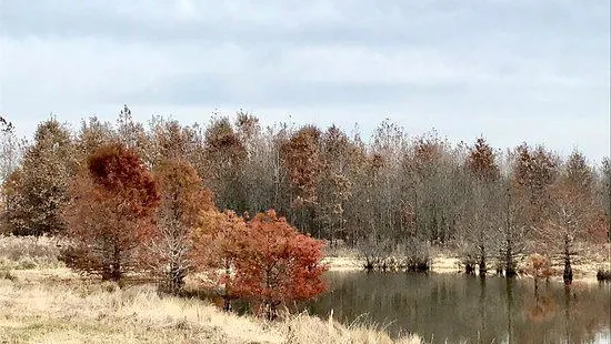 Barkhausen Cache River Wetlands Center