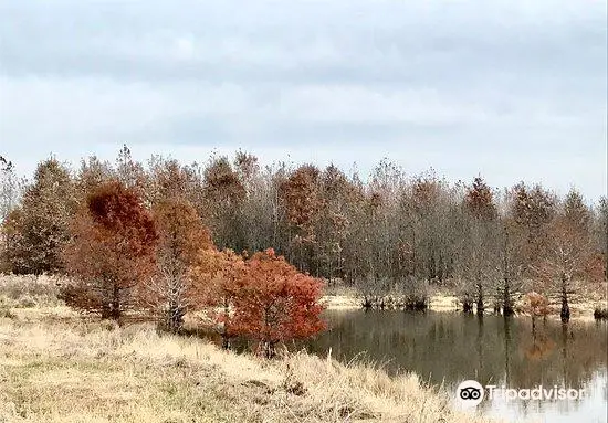 Barkhausen Cache River Wetlands Center