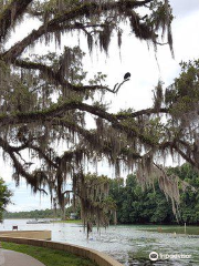 Salt Springs Recreation Area