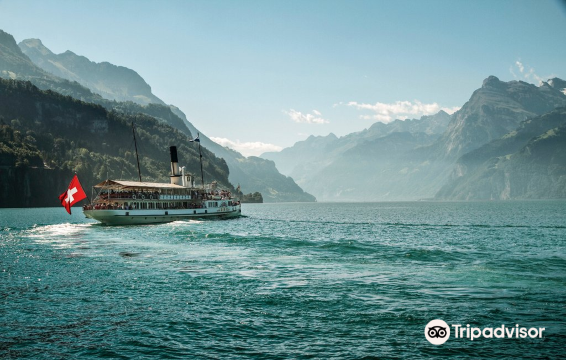 The Swiss Path