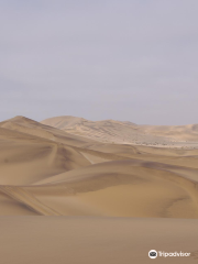 Living Desert Adventures