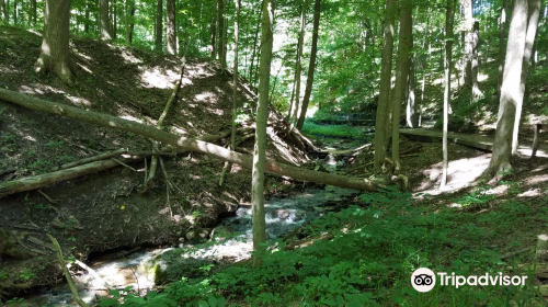 Kalamazoo Nature Center