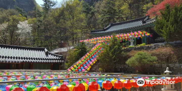 金烏山道立公園