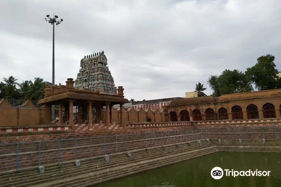 Arulmigu Naganathaswamy Rahu Temple Thirunageswaram