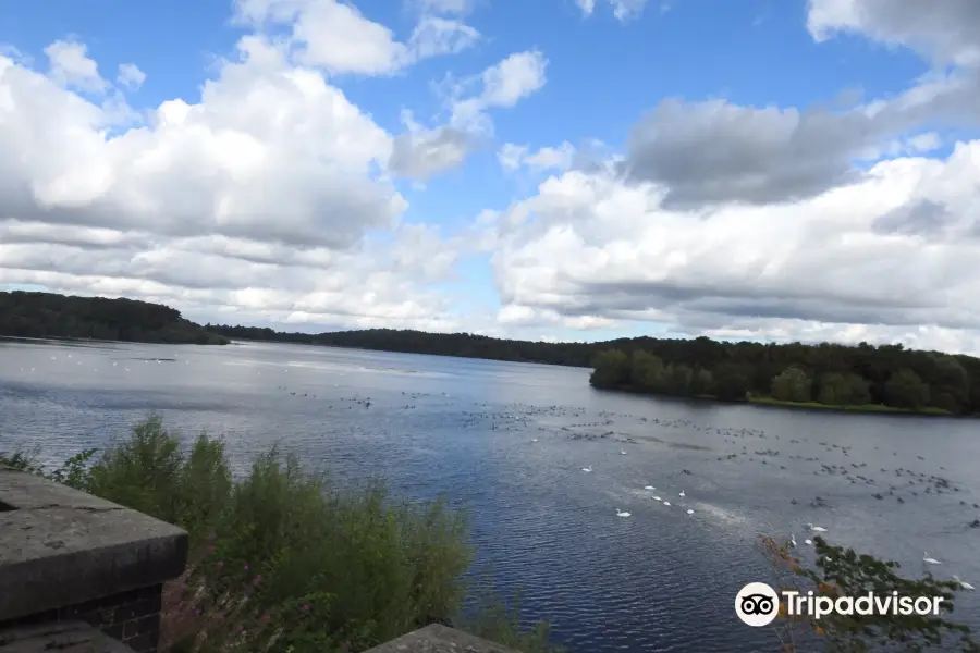 Swithland Reservoir