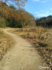 Kamakurahiromachi Ryokuchi Park