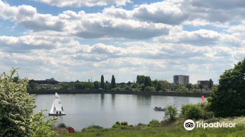 Brent Reservoir (Welsh Harp) Canalside