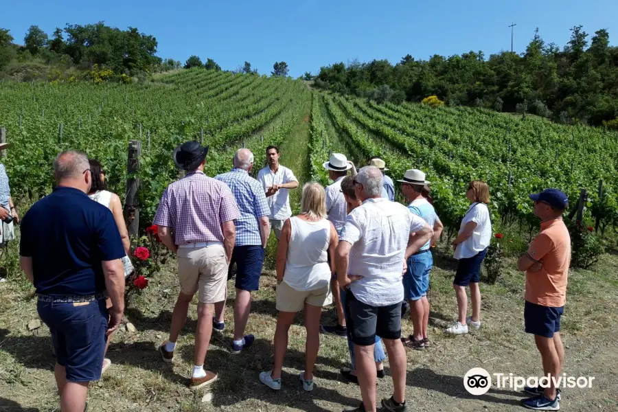 La Casa di Bricciano - Azienda Agricola Biologica - Organic winery