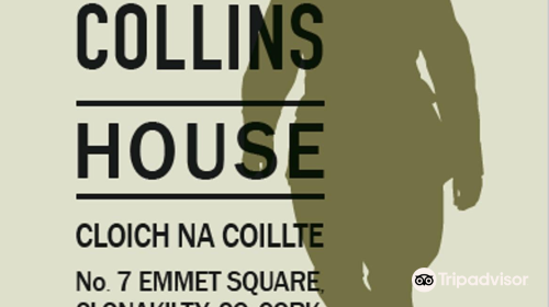 Michael Collins House Museum