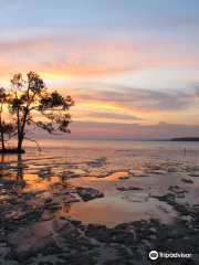 Tanjung Emas Park