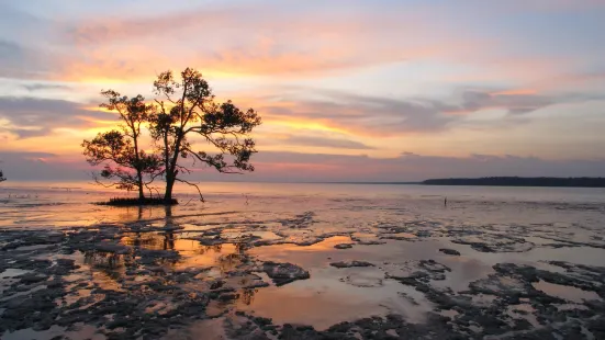 Tanjung Emas Park