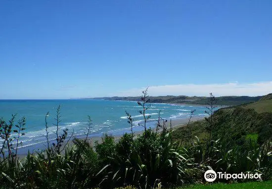 Wainui Reserve