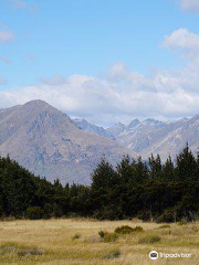 Mt Crichton Loop Track