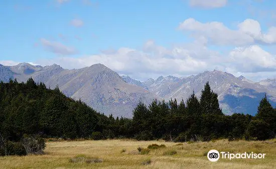 Mt Crichton Loop Track