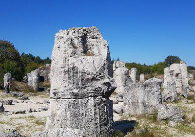 Stone Forest